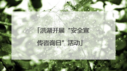 洪湖开展“安全宣传咨询日”活动