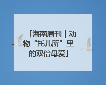 海南周刊｜动物“托儿所”里的双倍母爱