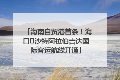 海南自贸港首条！海口⇌沙特阿拉伯吉达国际客运航线开通