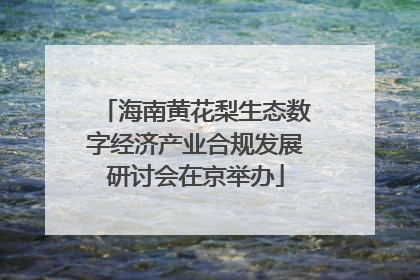 海南黄花梨生态数字经济产业合规发展研讨会在京举办
