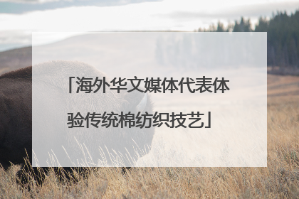 海外华文媒体代表体验传统棉纺织技艺