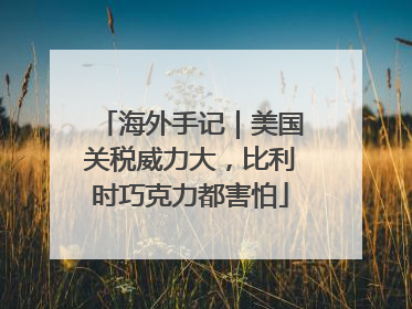 海外手记｜美国关税威力大，比利时巧克力都害怕