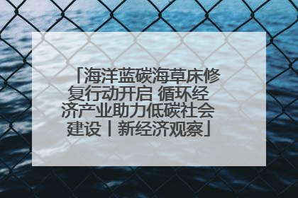 海洋蓝碳海草床修复行动开启 循环经济产业助力低碳社会建设丨新经济观察