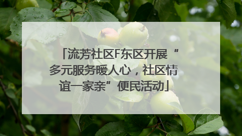 流芳社区F东区开展“多元服务暖人心，社区情谊一家亲”便民活动
