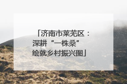 济南市莱芜区：深耕“一株桑” 绘就乡村振兴图