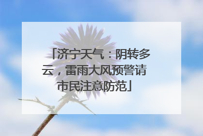 济宁天气：阴转多云，雷雨大风预警请市民注意防范