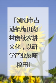 浏阳市古港镇梅田湖村赓续农耕文化，以研学产业反哺粮田