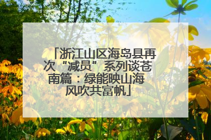 浙江山区海岛县再次“减员”系列谈苍南篇：绿能映山海 风吹共富帆