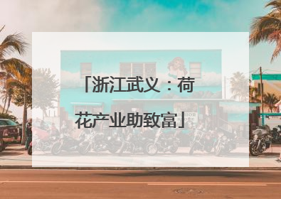 浙江武义：荷花产业助致富