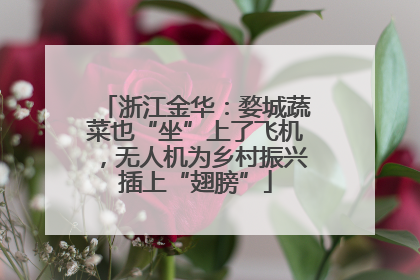浙江金华：婺城蔬菜也“坐”上了飞机，无人机为乡村振兴插上“翅膀”