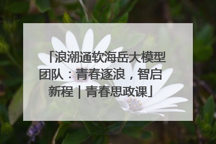 浪潮通软海岳大模型团队：青春逐浪，智启新程｜青春思政课