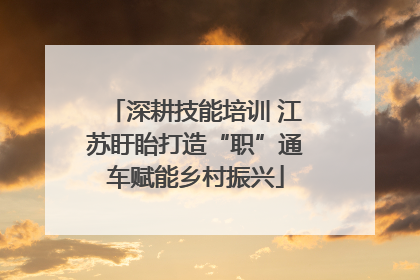 深耕技能培训 江苏盱眙打造“职”通车赋能乡村振兴
