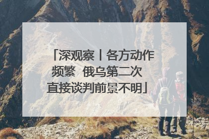深观察丨各方动作频繁  俄乌第二次直接谈判前景不明