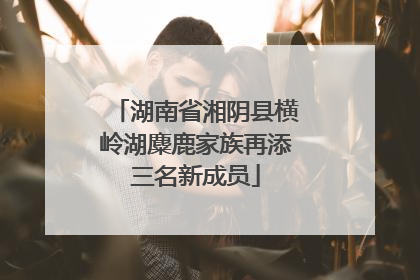 湖南省湘阴县横岭湖麋鹿家族再添三名新成员
