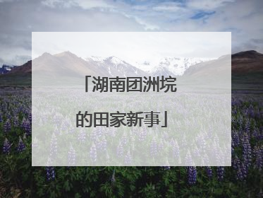 湖南团洲垸的田家新事