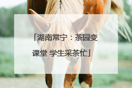 湖南常宁：茶园变课堂 学生采茶忙