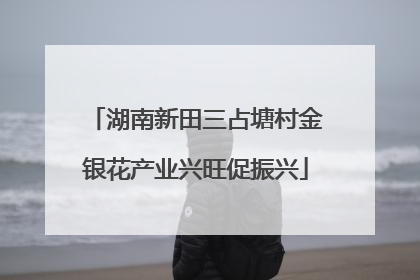 湖南新田三占塘村金银花产业兴旺促振兴