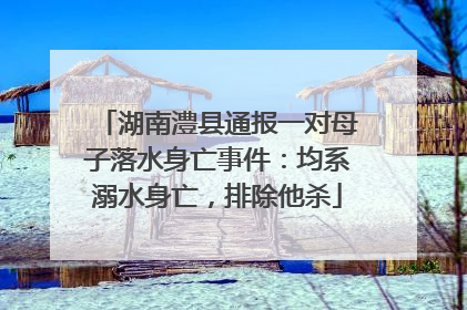 湖南澧县通报一对母子落水身亡事件：均系溺水身亡，排除他杀