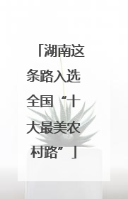 湖南这条路入选全国“十大最美农村路”
