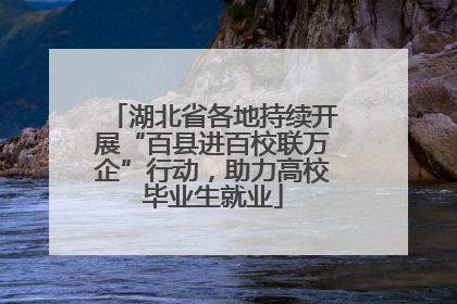 湖北省各地持续开展“百县进百校联万企”行动，助力高校毕业生就业