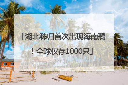 湖北秭归首次出现海南鳽！全球仅存1000只