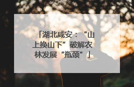 湖北咸安：“山上换山下”破解农林发展“瓶颈”