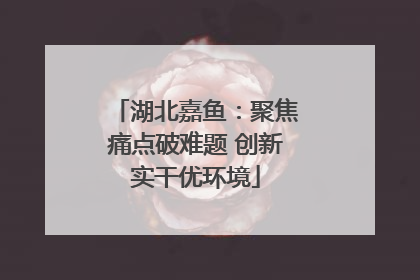 湖北嘉鱼：聚焦痛点破难题 创新实干优环境
