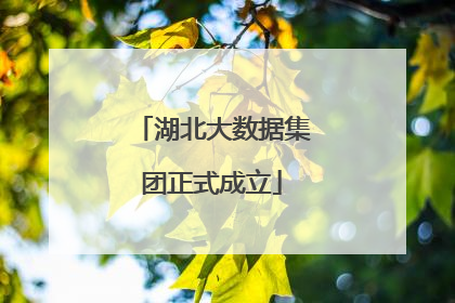湖北大数据集团正式成立
