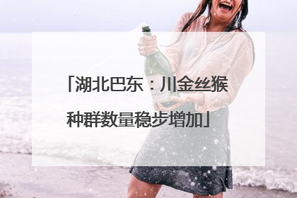 湖北巴东：川金丝猴种群数量稳步增加