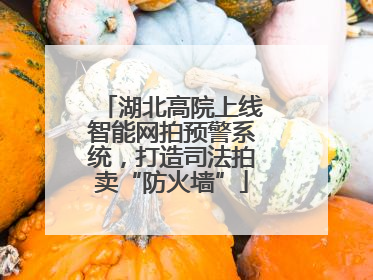 湖北高院上线智能网拍预警系统，打造司法拍卖“防火墙”