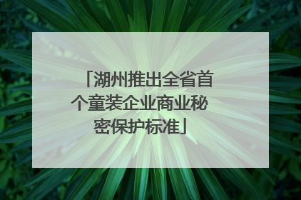 湖州推出全省首个童装企业商业秘密保护标准