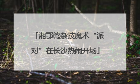 湘鄂赣杂技魔术“派对”在长沙热闹开场