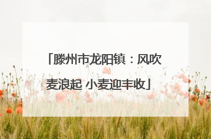 滕州市龙阳镇：风吹麦浪起 小麦迎丰收