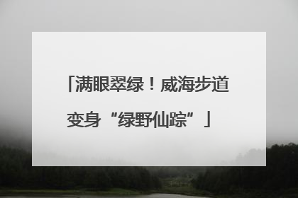 满眼翠绿！威海步道变身“绿野仙踪”
