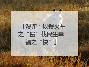 漫评：以慢火车之“慢”载民生幸福之“快”