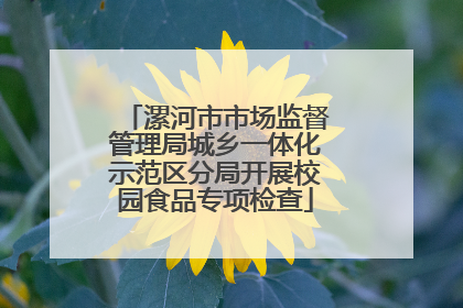 漯河市市场监督管理局城乡一体化示范区分局开展校园食品专项检查