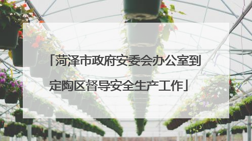 菏泽市政府安委会办公室到定陶区督导安全生产工作