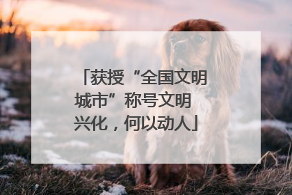 获授“全国文明城市”称号文明 兴化，何以动人