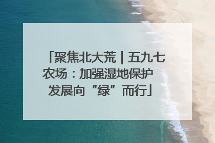 聚焦北大荒｜五九七农场：加强湿地保护 发展向“绿”而行