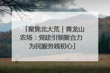 聚焦北大荒｜青龙山农场：党建引领聚合力 为民服务践初心