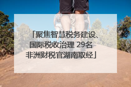 聚焦智慧税务建设、国际税收治理 29名非洲财税官湖南取经