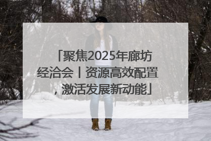 聚焦2025年廊坊经洽会丨资源高效配置，激活发展新动能
