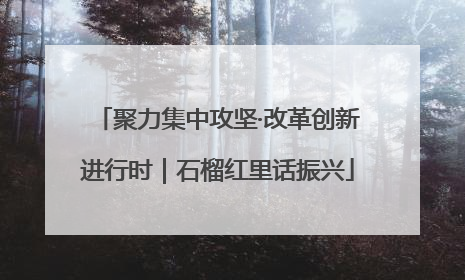 聚力集中攻坚·改革创新进行时｜石榴红里话振兴