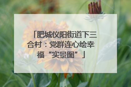 肥城仪阳街道下三合村：党群连心绘幸福“实景图”