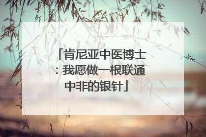 肯尼亚中医博士：我愿做一根联通中非的银针