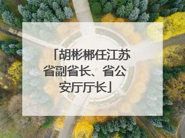 胡彬郴任江苏省副省长、省公安厅厅长