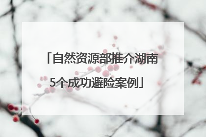 自然资源部推介湖南5个成功避险案例