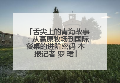 舌尖上的青海故事：从高原牧场到国际餐桌的进阶密码 本报记者 罗 珺