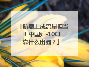 航展上成流量担当！中国歼-10CE靠什么出圈？
