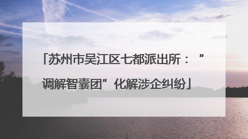 苏州市吴江区七都派出所：“调解智囊团”化解涉企纠纷